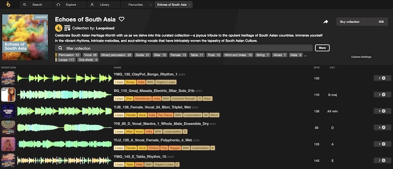 Loopcloud AI Sample Library